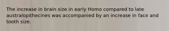 The increase in brain size in early Homo compared to late australopithecines was accompanied by an increase in face and tooth size.