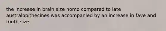 the increase in brain size homo compared to late australopithecines was accompanied by an increase in fave and tooth size.