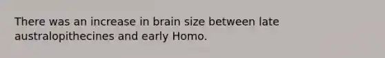 There was an increase in brain size between late australopithecines and early Homo.