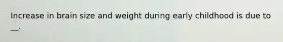 Increase in brain size and weight during early childhood is due to __.