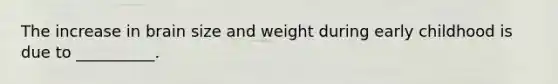 The increase in brain size and weight during early childhood is due to __________.