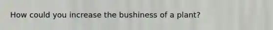 How could you increase the bushiness of a plant?