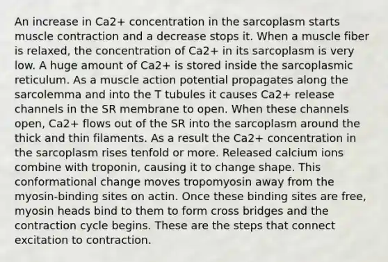 An increase in Ca2+ concentration in the sarcoplasm starts muscle contraction and a decrease stops it. When a muscle fiber is relaxed, the concentration of Ca2+ in its sarcoplasm is very low. A huge amount of Ca2+ is stored inside the sarcoplasmic reticulum. As a muscle action potential propagates along the sarcolemma and into the T tubules it causes Ca2+ release channels in the SR membrane to open. When these channels open, Ca2+ flows out of the SR into the sarcoplasm around the thick and thin filaments. As a result the Ca2+ concentration in the sarcoplasm rises tenfold or more. Released calcium ions combine with troponin, causing it to change shape. This conformational change moves tropomyosin away from the myosin-binding sites on actin. Once these binding sites are free, myosin heads bind to them to form cross bridges and the contraction cycle begins. These are the steps that connect excitation to contraction.