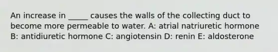 An increase in _____ causes the walls of the collecting duct to become more permeable to water. A: atrial natriuretic hormone B: antidiuretic hormone C: angiotensin D: renin E: aldosterone