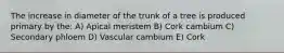 The increase in diameter of the trunk of a tree is produced primary by the: A) Apical meristem B) Cork cambium C) Secondary phloem D) Vascular cambium E) Cork