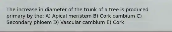 The increase in diameter of the trunk of a tree is produced primary by the: A) Apical meristem B) Cork cambium C) Secondary phloem D) Vascular cambium E) Cork