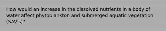 How would an increase in the dissolved nutrients in a body of water affect phytoplankton and submerged aquatic vegetation (SAV's)?