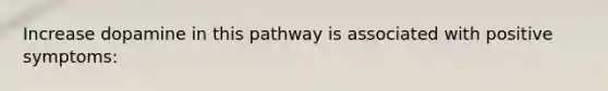 Increase dopamine in this pathway is associated with positive symptoms: