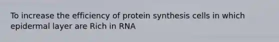 To increase the efficiency of protein synthesis cells in which epidermal layer are Rich in RNA