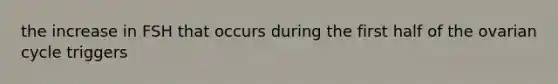 the increase in FSH that occurs during the first half of the ovarian cycle triggers
