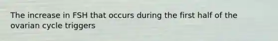 The increase in FSH that occurs during the first half of the ovarian cycle triggers