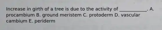 Increase in girth of a tree is due to the activity of ____________. A. procambium B. ground meristem C. protoderm D. vascular cambium E. periderm