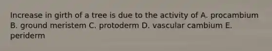 Increase in girth of a tree is due to the activity of A. procambium B. ground meristem C. protoderm D. vascular cambium E. periderm