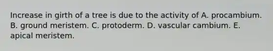Increase in girth of a tree is due to the activity of A. procambium. B. ground meristem. C. protoderm. D. vascular cambium. E. apical meristem.