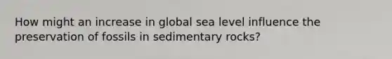 How might an increase in global sea level influence the preservation of fossils in sedimentary rocks?