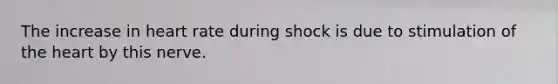 The increase in heart rate during shock is due to stimulation of the heart by this nerve.