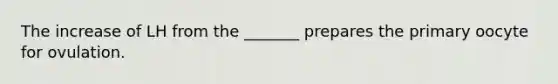 The increase of LH from the _______ prepares the primary oocyte for ovulation.