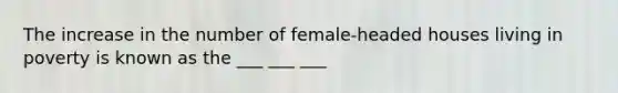 The increase in the number of female-headed houses living in poverty is known as the ___ ___ ___