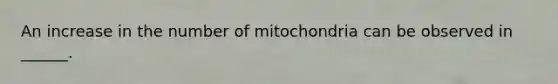 An increase in the number of mitochondria can be observed in ______.