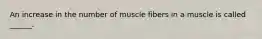 An increase in the number of muscle fibers in a muscle is called ______.