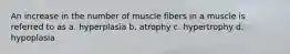 An increase in the number of muscle fibers in a muscle is referred to as a. hyperplasia b. atrophy c. hypertrophy d. hypoplasia