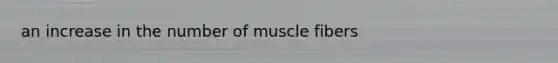 an increase in the number of muscle fibers