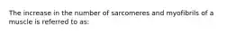 The increase in the number of sarcomeres and myofibrils of a muscle is referred to as: