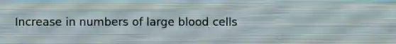 Increase in numbers of large blood cells