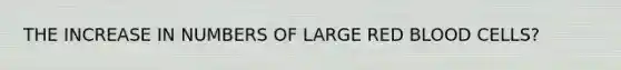 THE INCREASE IN NUMBERS OF LARGE RED BLOOD CELLS?