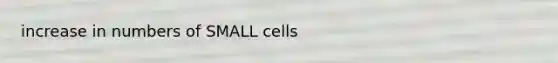 increase in numbers of SMALL cells