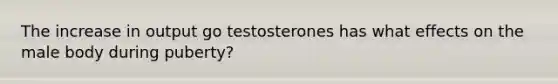 The increase in output go testosterones has what effects on the male body during puberty?