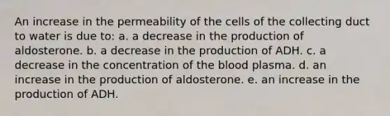 An increase in the permeability of the cells of the collecting duct to water is due to: a. a decrease in the production of aldosterone. b. a decrease in the production of ADH. c. a decrease in the concentration of the blood plasma. d. an increase in the production of aldosterone. e. an increase in the production of ADH.