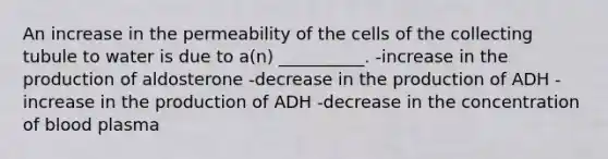 An increase in the permeability of the cells of the collecting tubule to water is due to a(n) __________. -increase in the production of aldosterone -decrease in the production of ADH -increase in the production of ADH -decrease in the concentration of blood plasma