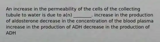 An increase in the permeability of the cells of the collecting tubule to water is due to a(n) ________. increase in the production of aldosterone decrease in the concentration of the blood plasma increase in the production of ADH decrease in the production of ADH