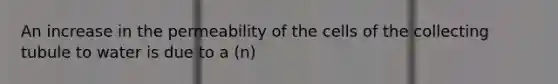 An increase in the permeability of the cells of the collecting tubule to water is due to a (n)