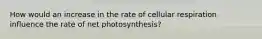 How would an increase in the rate of cellular respiration influence the rate of net photosynthesis?