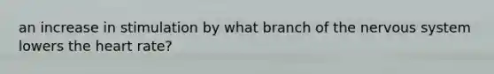 an increase in stimulation by what branch of the nervous system lowers the heart rate?