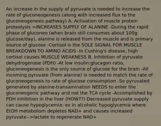 An increase in the supply of pyruvate is needed to increase the rate of gluconeogenesis (along with increased flux to the gluconeogenesis pathway) A. Activation of muscle protein proteolysis =INCREASES SUPPLY OF ALANINE -During the rapid phase of gluconeo (when brain still consumes about 100g glucose/day), alanine is released from the muscle and is primary source of glucose -Cortisol is the SOLE SIGNAL FOR MUSCLE BREAKDOWN TO AMINO ACIDS -In Cushing's disease, high cortisol causes MUSCLE WEAKNESS B. Inhibition of pyruvate dehydrogenase (PDH) -At low insulin:glucagon ratio, gluconeogenesis is the only source of glucose for the brain -All incoming pyruvate (from alanine) is needed to match the rate of gluconeogenesis to rate of glucose consumption -So pyruvated generated by alanine-transamination NEEDS to enter the gluconeogenic pathway and not the TCA cycle -Accomplished by PDH inhibition in the liver (HOW??) Decreased pyruvate supply can cause hypoglycemia: ex in alcoholic hypoglycemia where EtOH metabolism depletes NAD+ and causes increased pyruvate-->lactate to regenerate NAD+