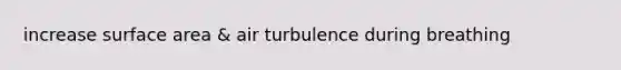 increase surface area & air turbulence during breathing