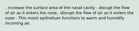 - increase the surface area of the nasal cavity - disrupt the flow of air as it enters the nose, -disrupt the flow of air as it enters the nose - This moist epithelium functions to warm and humidify incoming air.