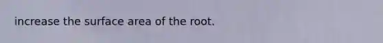 increase the surface area of the root.