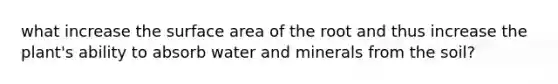 what increase the surface area of the root and thus increase the plant's ability to absorb water and minerals from the soil?