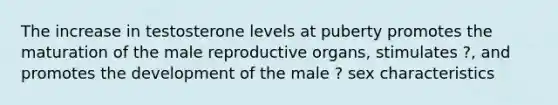 The increase in testosterone levels at puberty promotes the maturation of the male reproductive organs, stimulates ?, and promotes the development of the male ? sex characteristics