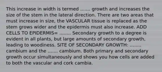 This increase in width is termed ....... growth and increases the size of the stem in the lateral direction. There are two areas that must increase in size, the VASCULAR tissue is replaced as the stem grows wider and the epidermis must also increase. ADD CELLS TO EPIDERMIS= ........ Secondary growth to a degree is evident in all plants, but large amounts of secondary growth, leading to woodiness. SITE OF SECONDARY GROWTH: ........ cambium and the ....... cambium. Both primary and secondary growth occur simultaneously and shows you how cells are added to both the vascular and cork cambia.