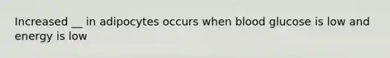 Increased __ in adipocytes occurs when blood glucose is low and energy is low