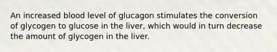 An increased blood level of glucagon stimulates the conversion of glycogen to glucose in the liver, which would in turn decrease the amount of glycogen in the liver.