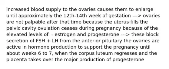 increased blood supply to the ovaries causes them to enlarge until approximately the 12th-14th week of gestation ---> ovaries are not palpable after that time because the uterus fills the pelvic cavity ovulation ceases during pregnancy because of the elevated levels of: - estrogen and progesterone ---> these block secretion of FSH + LH from the anterior pituitary the ovaries are active in hormone production to support the pregnancy until about weeks 6 to 7, when the corpus luteum regresses and the placenta takes over the major production of progesterone