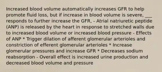 Increased blood volume automatically increases GFR to help promote fluid loss, but if increase in blood volume is severe, ___ responds to further increase the GFR, - Atrial natriuretic peptide (ANP) is released by the heart in response to stretched walls due to increased blood volume or increased blood pressure - Effects of ANP * Trigger dilation of afferent glomerular arterioles and constriction of efferent glomerular arterioles * Increase glomerular pressures and increase GFR * Decreases sodium reabsorption - Overall effect is increased urine production and decreased blood volume and pressure