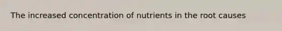 The increased concentration of nutrients in the root causes