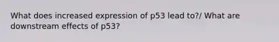 What does increased expression of p53 lead to?/ What are downstream effects of p53?